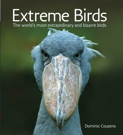 extreme-birds